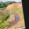 Гимн родной природе
