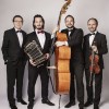 Solo Tango Orquesta. Аргентинское танго