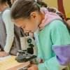 Школа юного палеонтолога. Интерактивное занятие