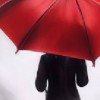 Развод по-французски