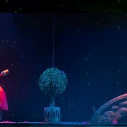 Фото: puppet-show.ru