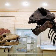 Фото: kazan-kremlin.ru