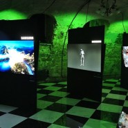 Фото: izo-museum.ru