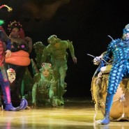 Шоу Cirque du Soleil «OVO» 2018 фотографии