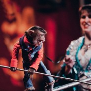 Шоу Новосибирского Цирка «Золотой Дракон» 2017 фотографии