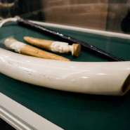 Фото: kazan-kremlin.ru