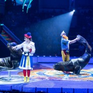 Фото: kazan-circus.ru