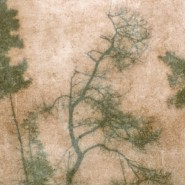 Фото: izo-museum.ru