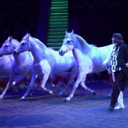 Фото: kazan-circus.ru