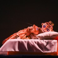 Фото: puppet-show.ru