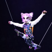 Цирковое шоу «Как кот на Новый год счастье принёс» 2023-2024 фотографии