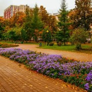 Сквер Николая Ершова (Чеховский сквер) фотографии
