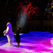 Шоу «Цирк на льду «Айсберг» 2018 фотографии