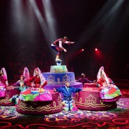 Фото: kazan-circus.ru