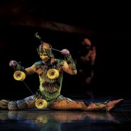Шоу Cirque du Soleil «OVO» 2018 фотографии