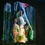 Фото: puppet-show.ru