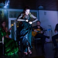 Фестиваль «Фламенко над Волгой» 2018 фотографии
