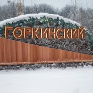 Горкинско-Ометьевский лес фотографии