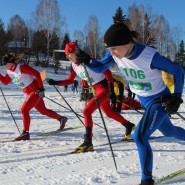 Соревнования по лыжным гонкам 2019 фотографии