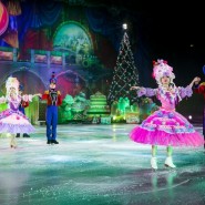 Фото: vk.com/ice_show