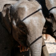 Фото: kzn.ru