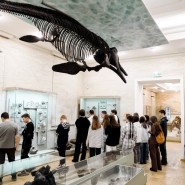 Фото: kazan-kremlin.ru