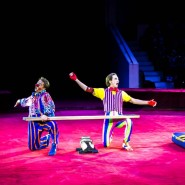 Цирковое шоу «Золотой Московский цирк» 2021 фотографии