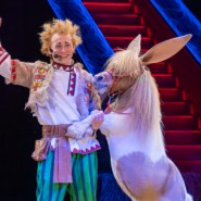 Фото: kazan-circus.ru