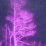 Фото: izo-museum.ru