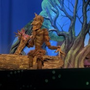 Фото: puppet-show.ru
