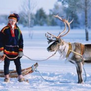Дни финской культуры 2017 фотографии