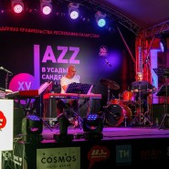 Фестиваль музыки «JAZZ в усадьбе Сандецкого с Ольгой Скепнер» 2022 фотографии