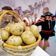 Праздник картошки или «Бәрәңгефест» 2019 фотографии