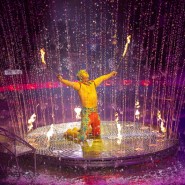 Фото: circus.ru
