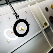 Фото: kazan-kremlin.ru