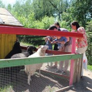 День защиты детей в Казанском зооботсаду 2018 фотографии