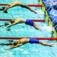 Первый этап Кубка мира FINA по плаванию 2018 фотографии