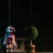 Фото: puppet-show.ru