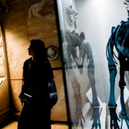 Фото: kazan-kremlin.ru