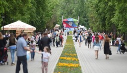 Проект «Культурная среда» 2019