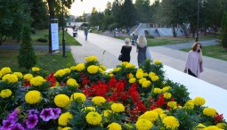 Фестиваль цветов «GreenMarket» 2025