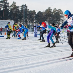 V этап Кубка России по лыжным гонкам 2024