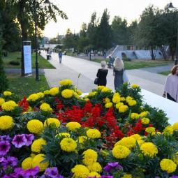 Фестиваль цветов «GreenMarket» 2025