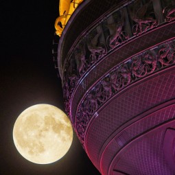 Мультимедийная выставка «Космос. Вначале была мечта»