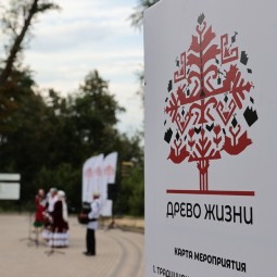 Проект «Древо жизни» 2024