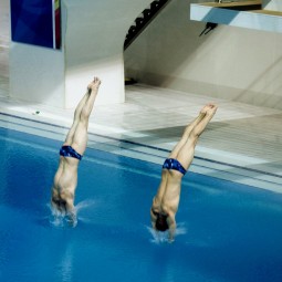 Чемпионат России по прыжкам в воду 2024