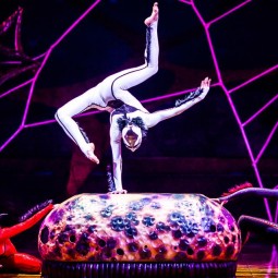Шоу Cirque du Soleil «OVO» 2018