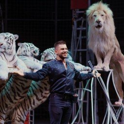 Цирковое шоу «Тигры, львы и Якутский цирк» 2020