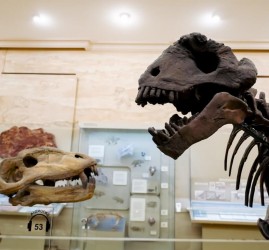 Бесплатные экскурсии для педагогов 2026