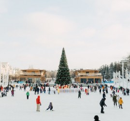 Каток в парке «Черное озеро» 2022-2023